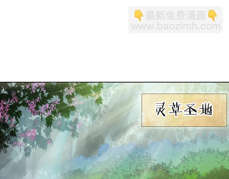 第43话 与魂兽…结合？