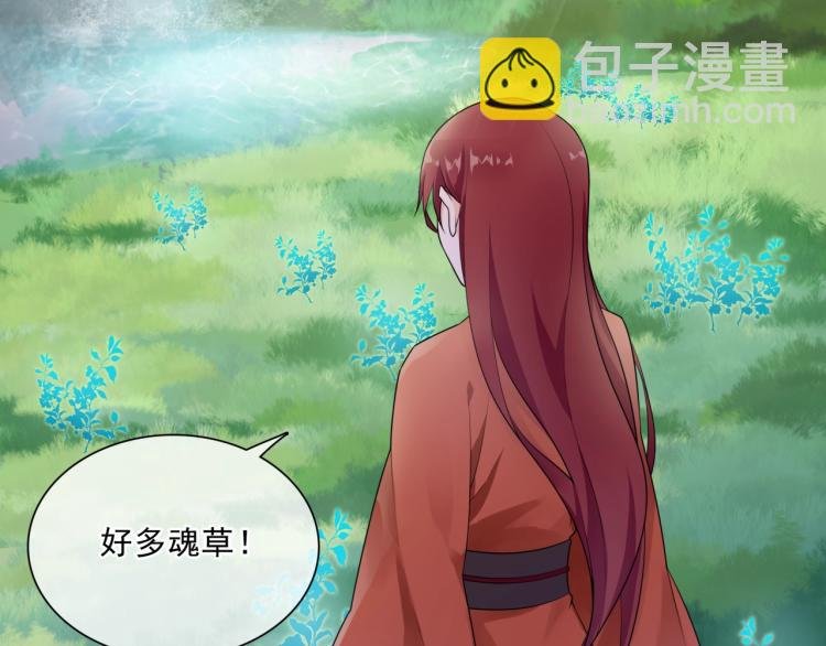 第43话 与魂兽…结合？