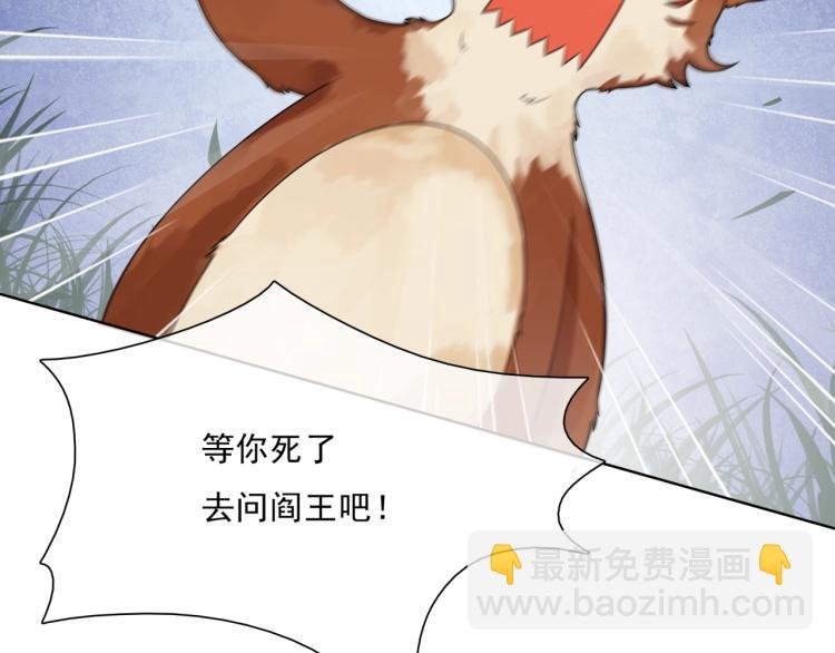 第43话 与魂兽…结合？