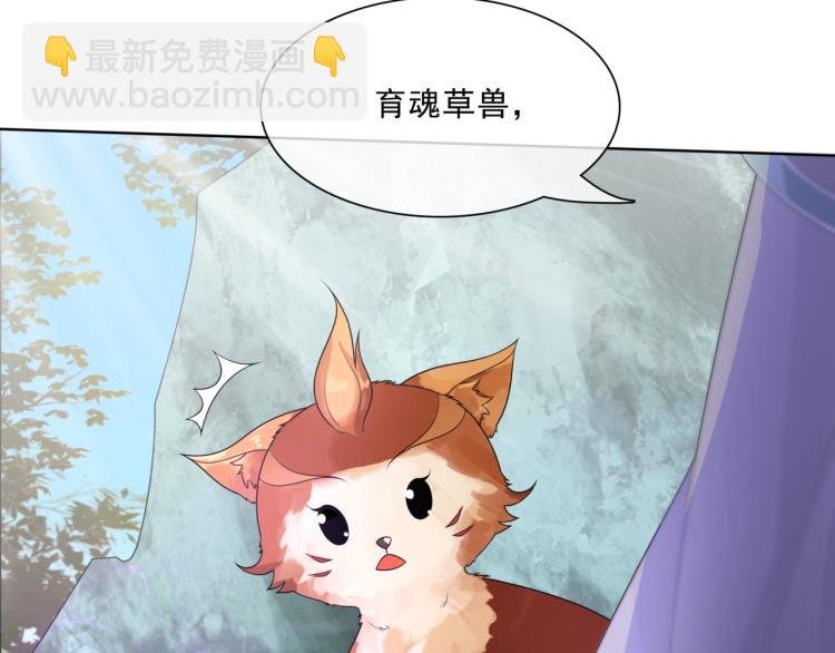 第43话 与魂兽…结合？