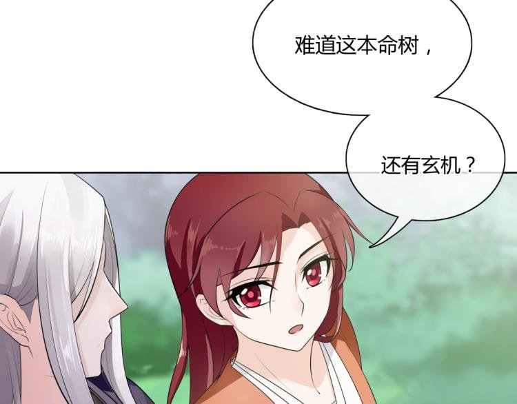 第44话 为夫人准备的大礼
