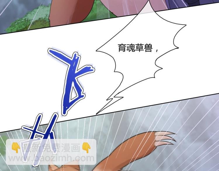 第44话 为夫人准备的大礼
