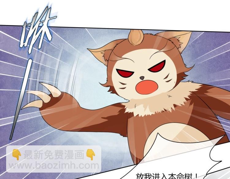 第44话 为夫人准备的大礼