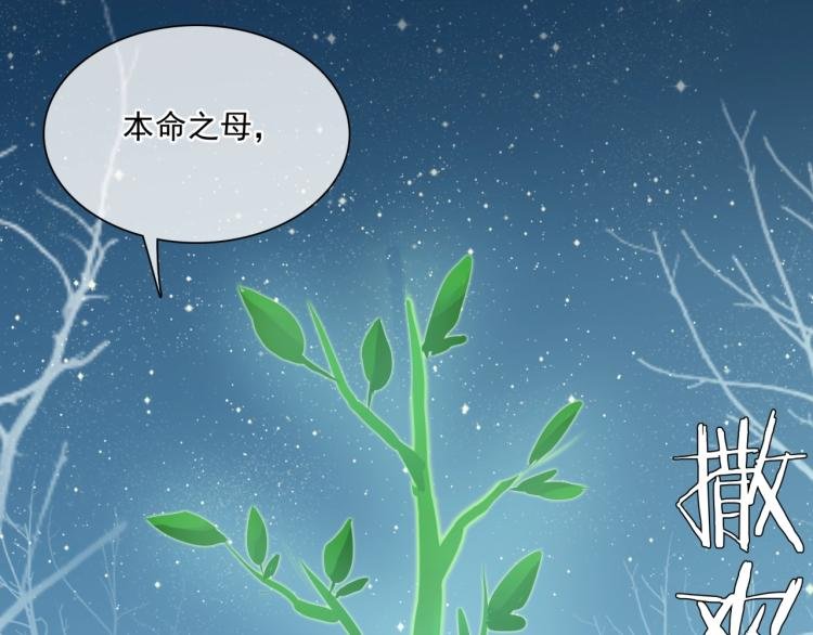 第44话 为夫人准备的大礼