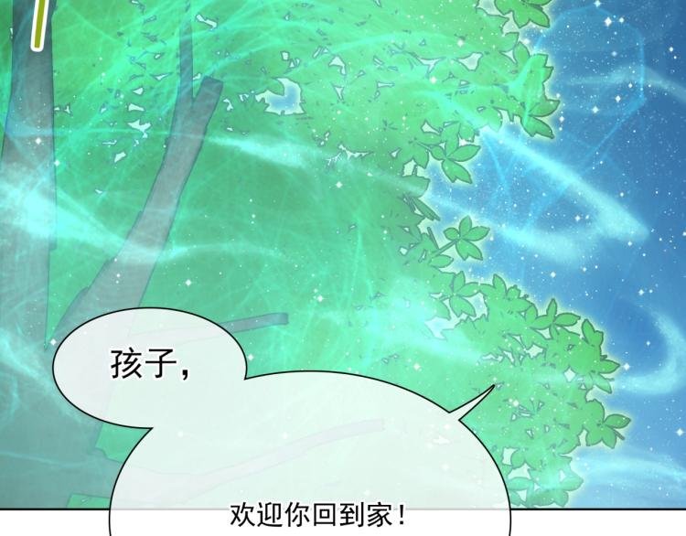 第44话 为夫人准备的大礼