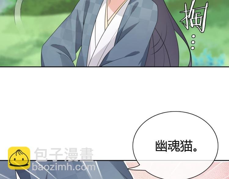第45话 我的小猫咪