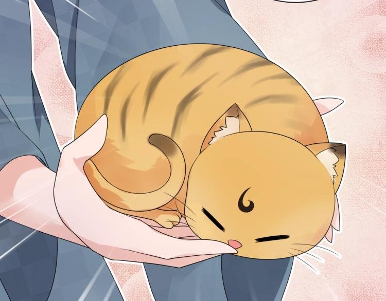 第45话 我的小猫咪