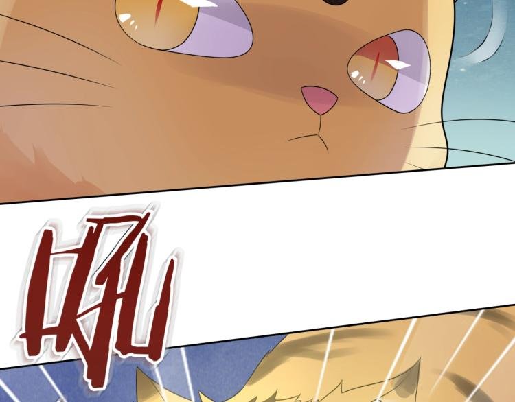 第45话 我的小猫咪