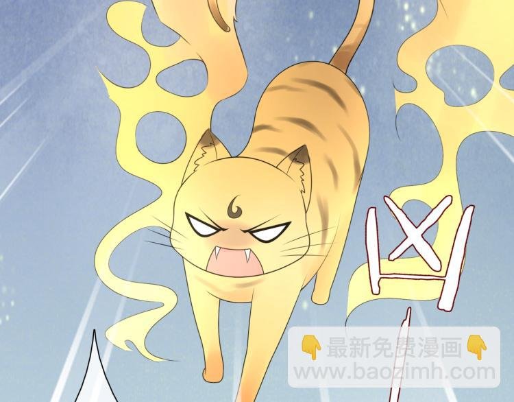 第45话 我的小猫咪