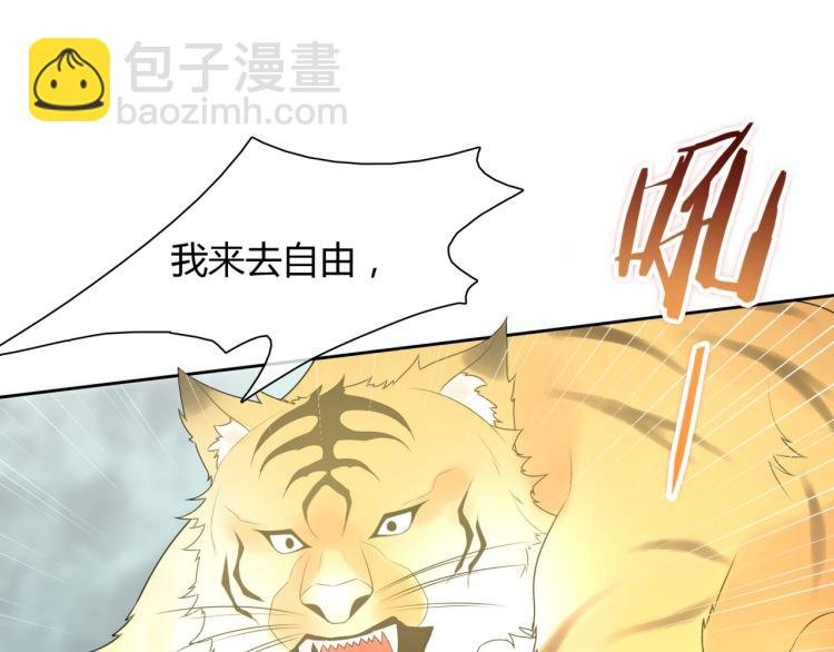 第45话 我的小猫咪