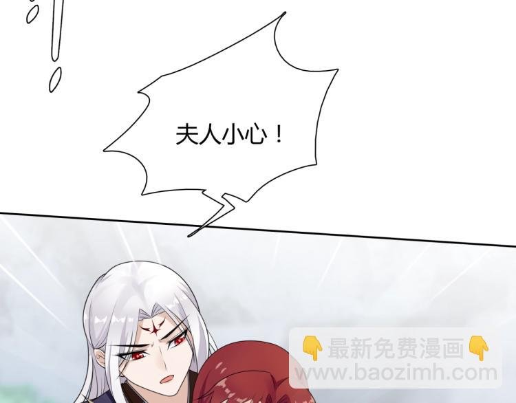 第45话 我的小猫咪