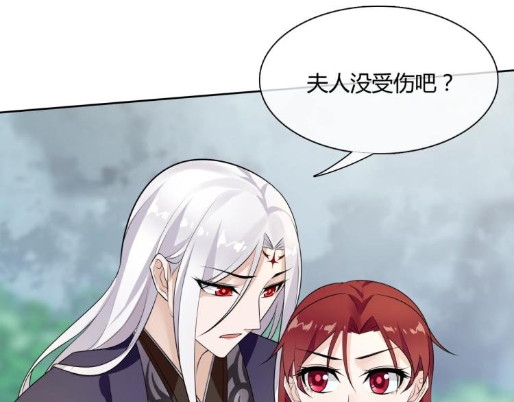 第45话 我的小猫咪