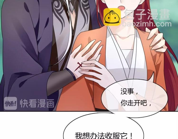第45话 我的小猫咪