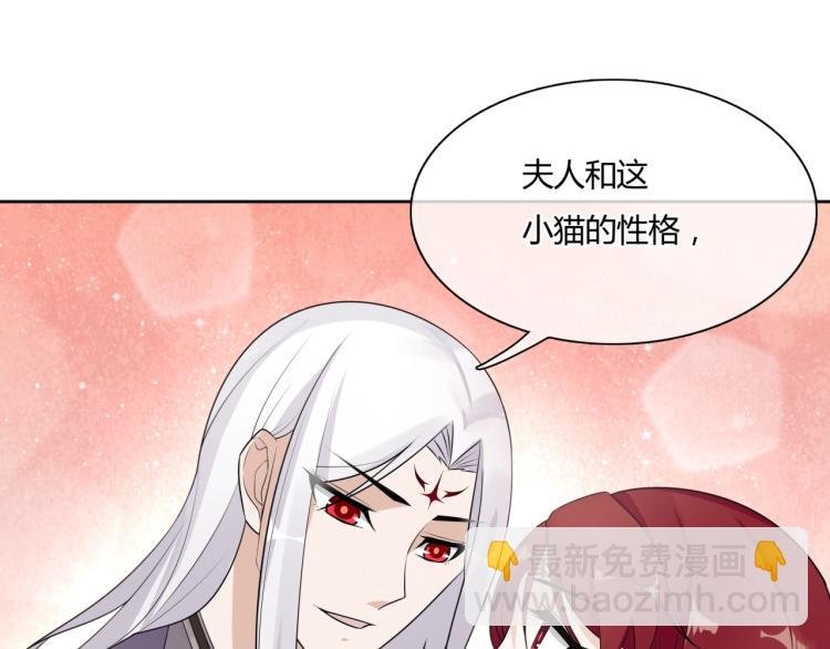 第45话 我的小猫咪