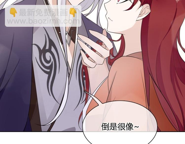 第45话 我的小猫咪