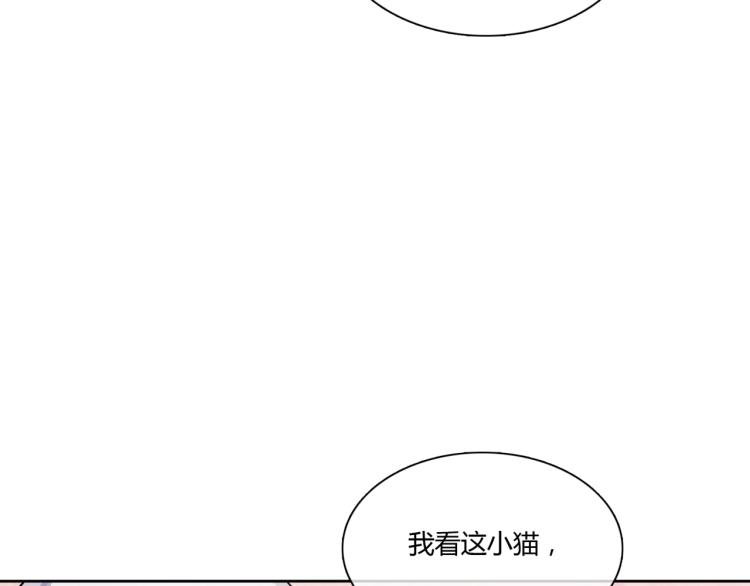 第45话 我的小猫咪