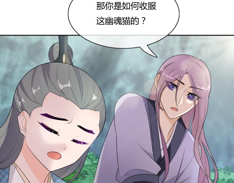 第45话 我的小猫咪