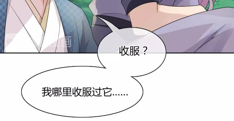 第45话 我的小猫咪