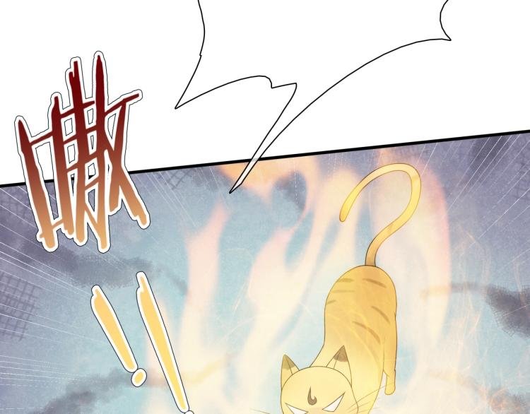 第45话 我的小猫咪