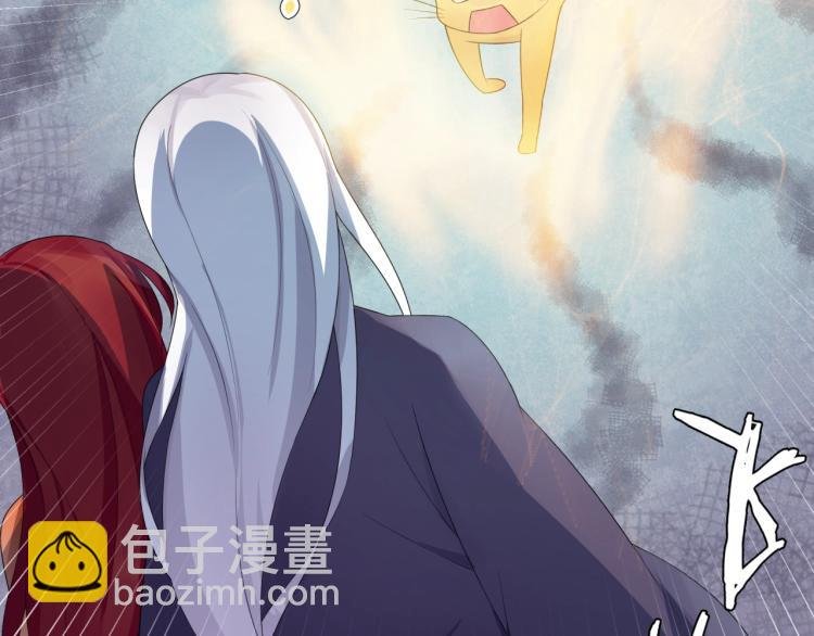 第45话 我的小猫咪