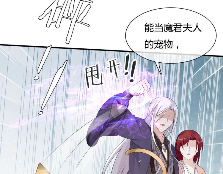 第45话 我的小猫咪