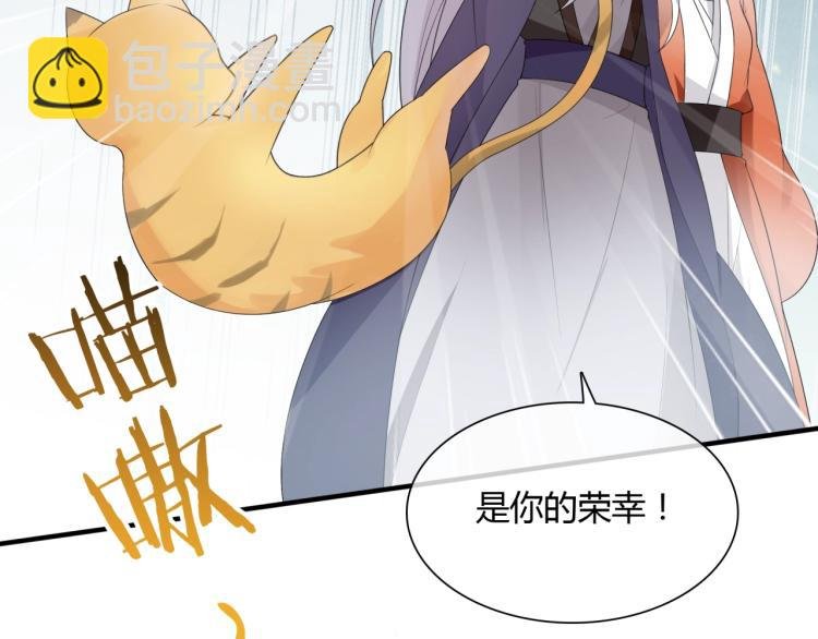 第45话 我的小猫咪