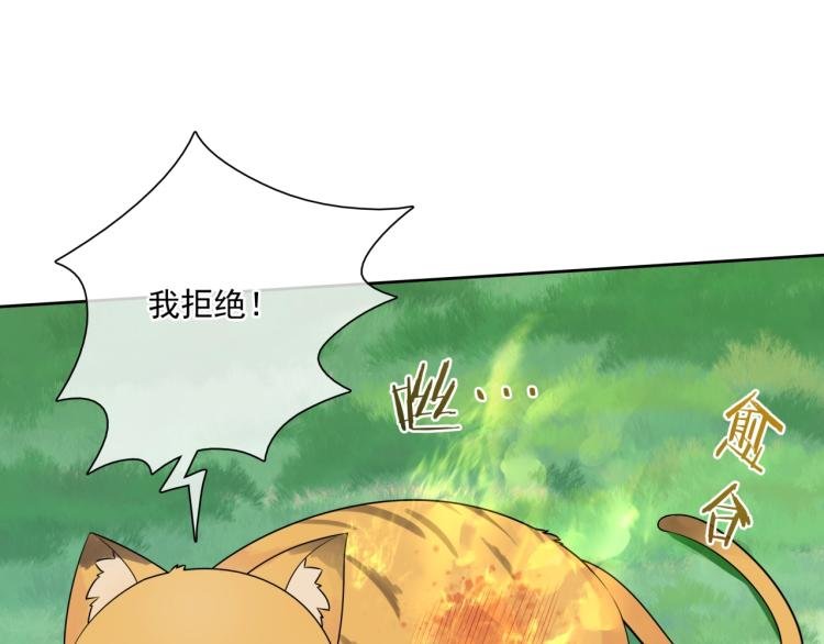 第45话 我的小猫咪