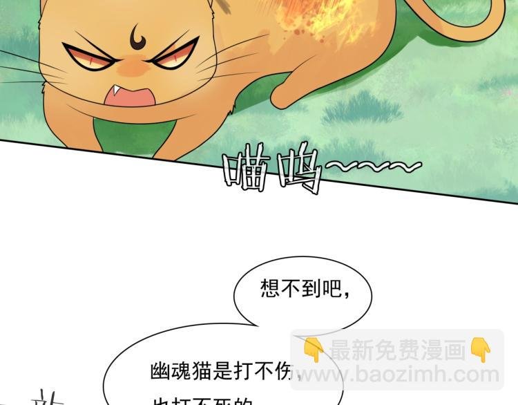 第45话 我的小猫咪