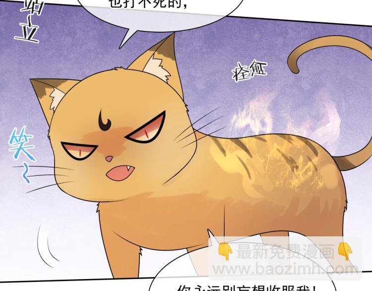 第45话 我的小猫咪