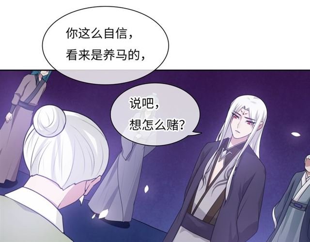 第95话 赛马进行时