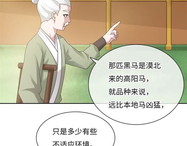 第95话 赛马进行时