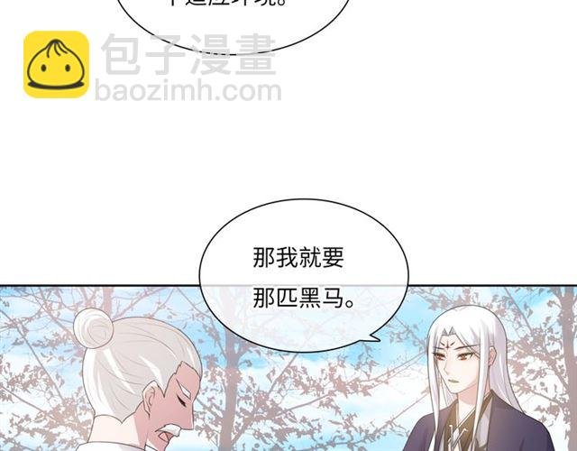 第95话 赛马进行时