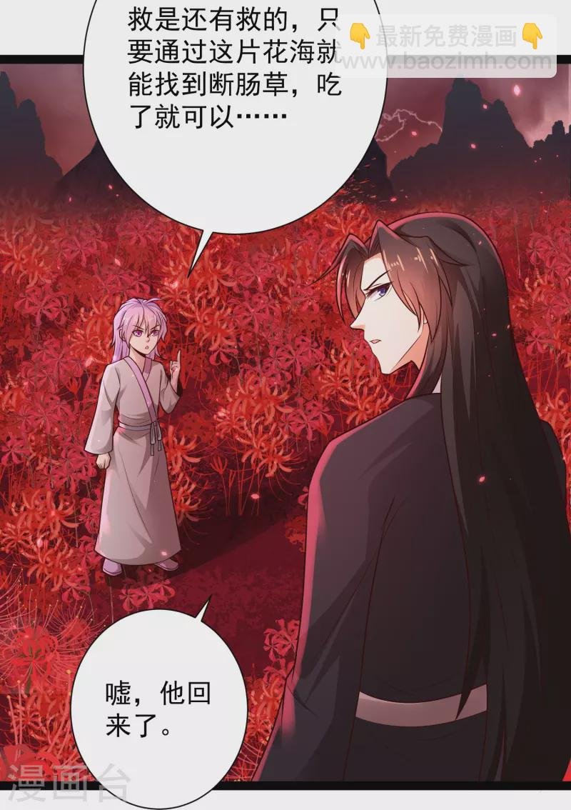 第81话 糟了，被围攻了