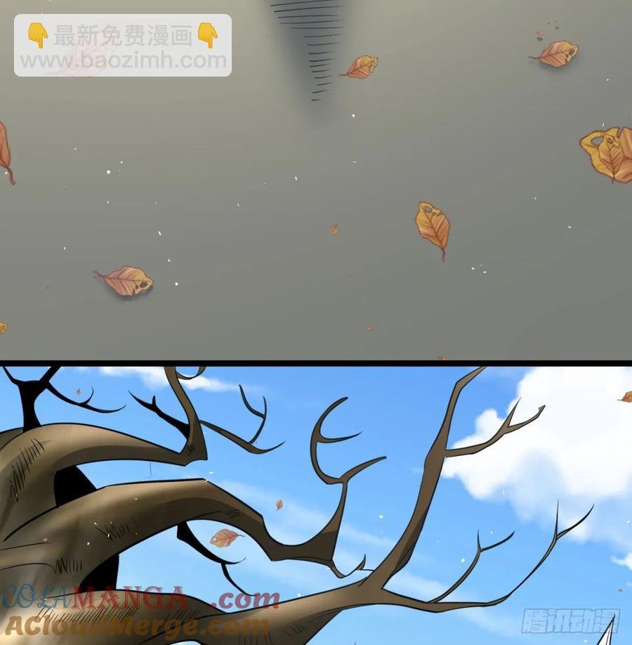 仙树大人