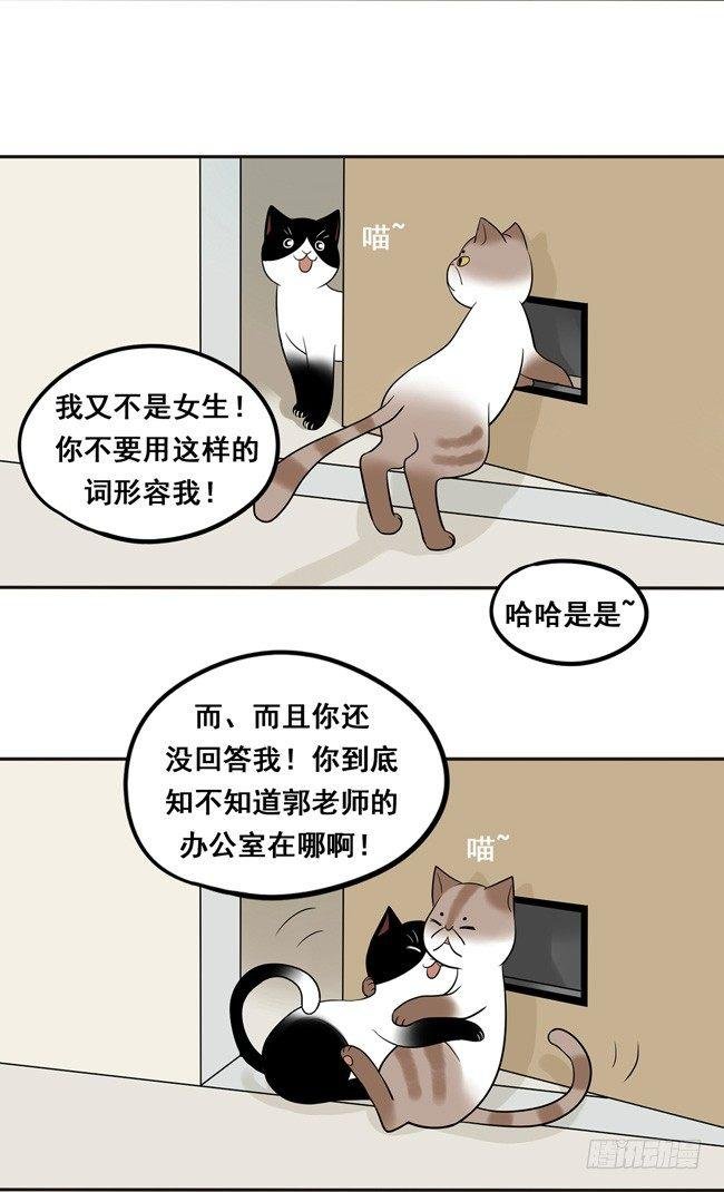 11 阿夹帮我呀