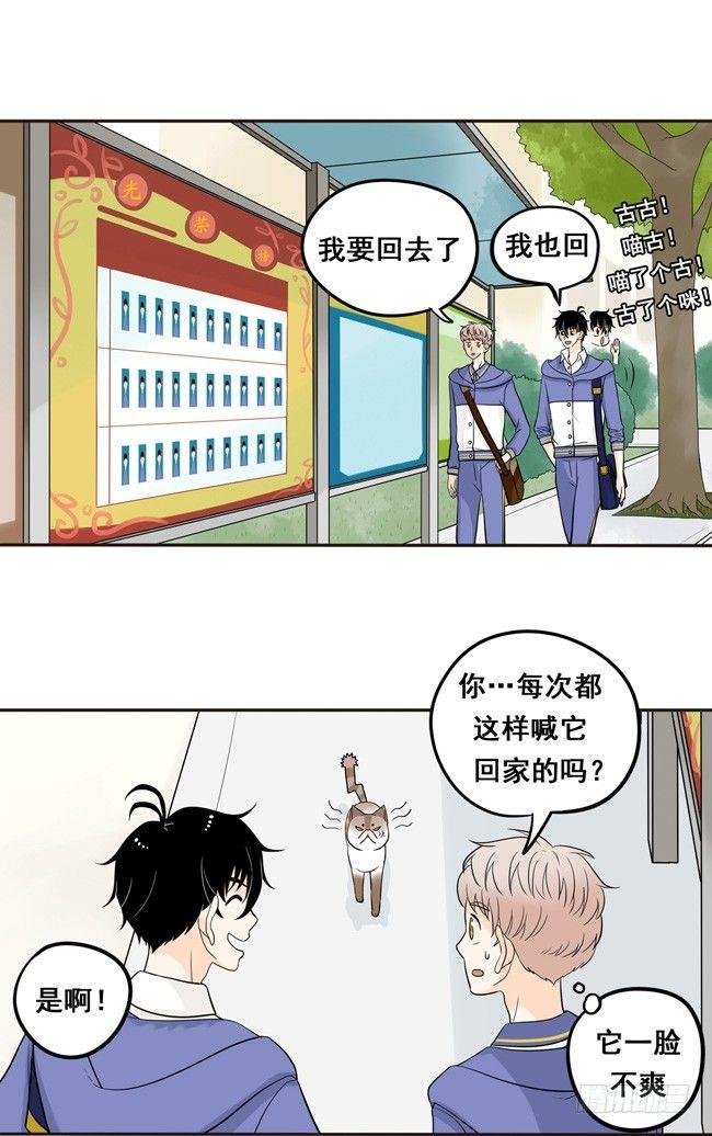 12 你也是猫吗！