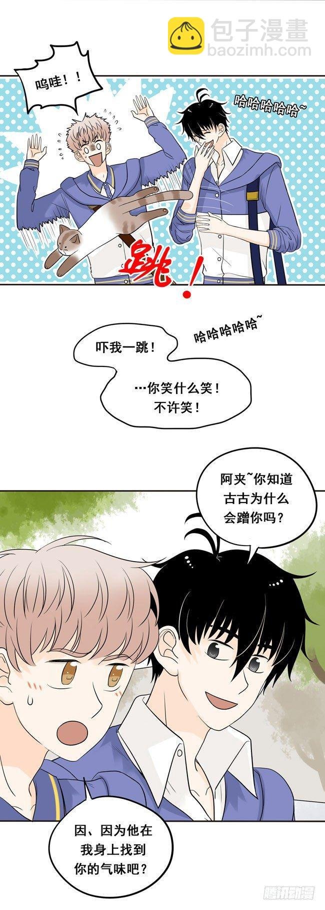12 你也是猫吗！