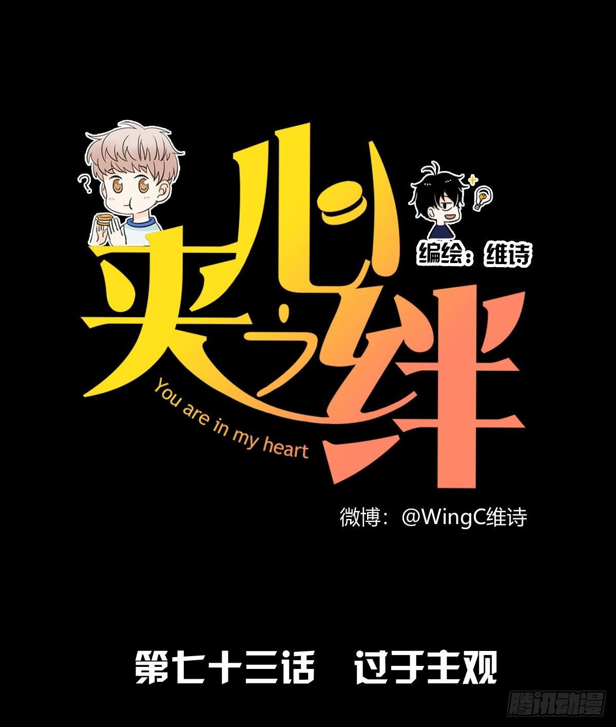 73 过于主观