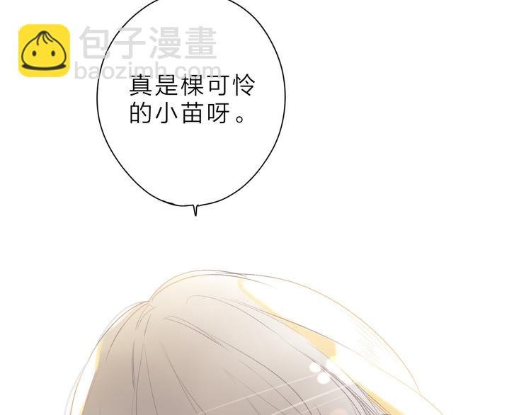 第20话 神木的记忆