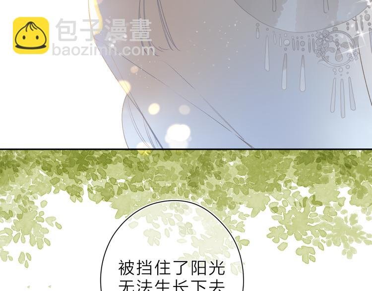 第20话 神木的记忆