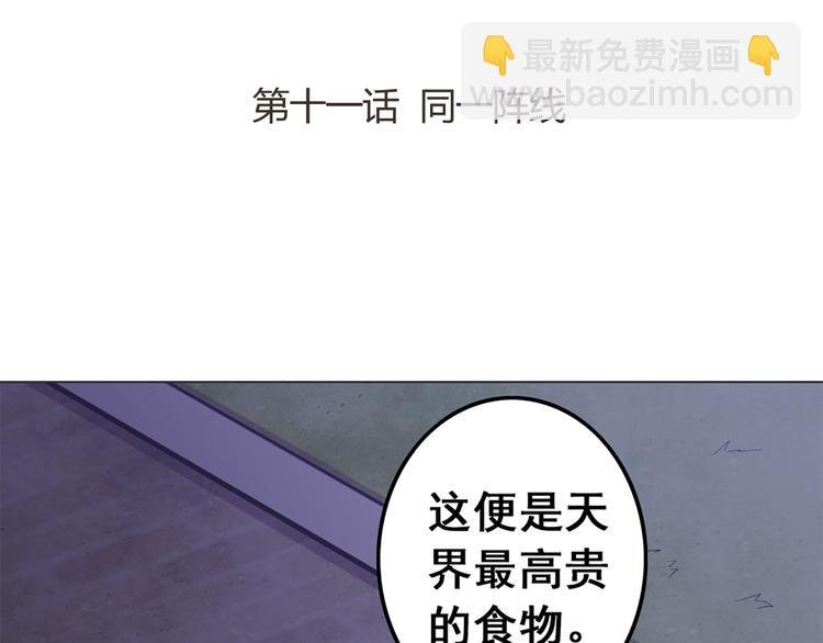 第11话 同一阵线