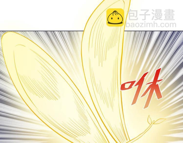 第17话 召唤月桂枝