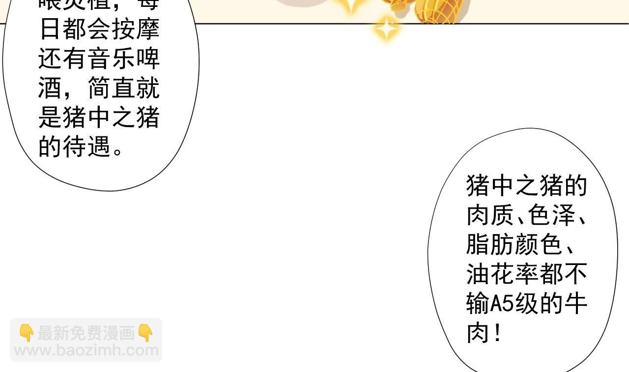 第92话 考察