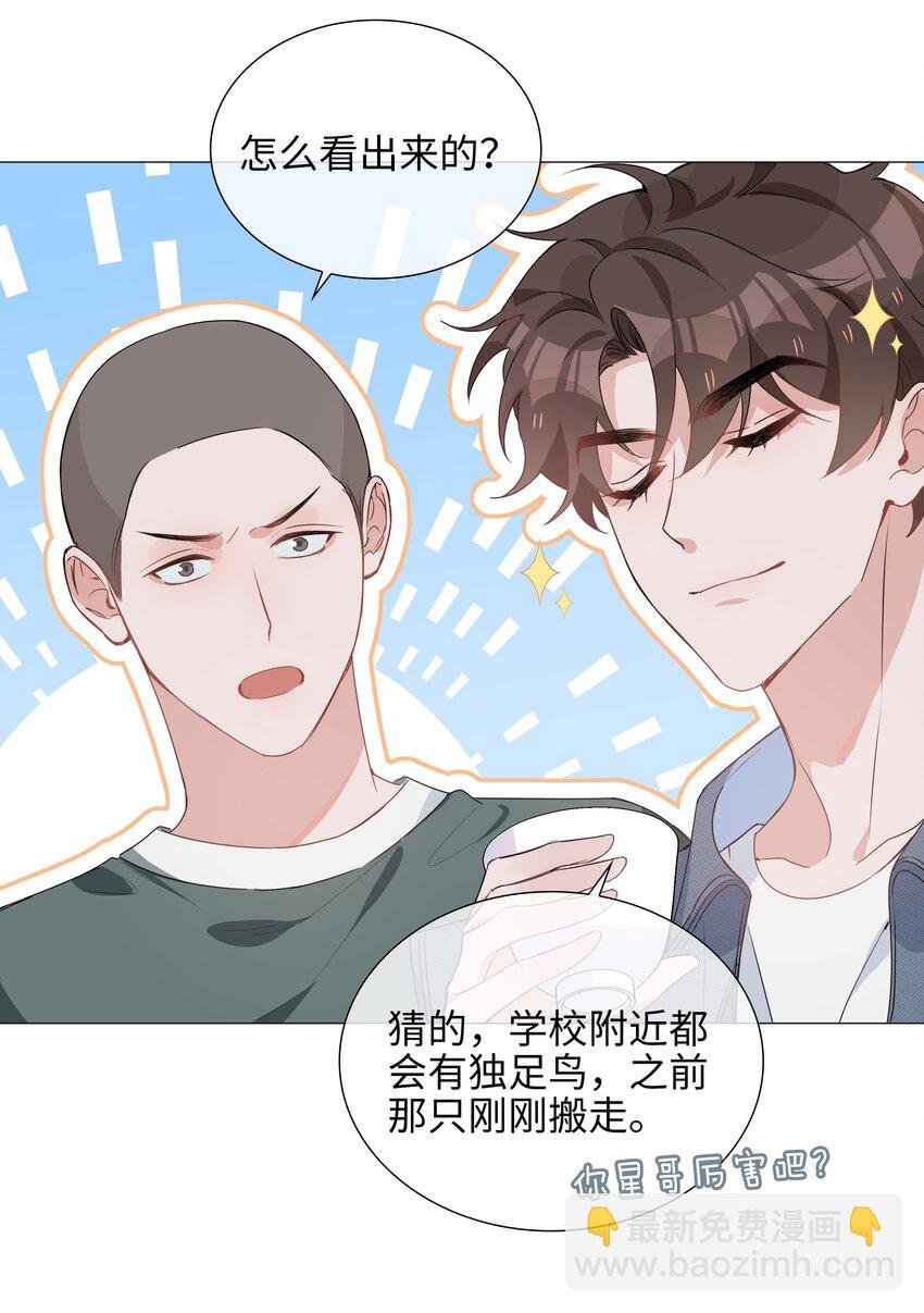 024 爱情的秘密