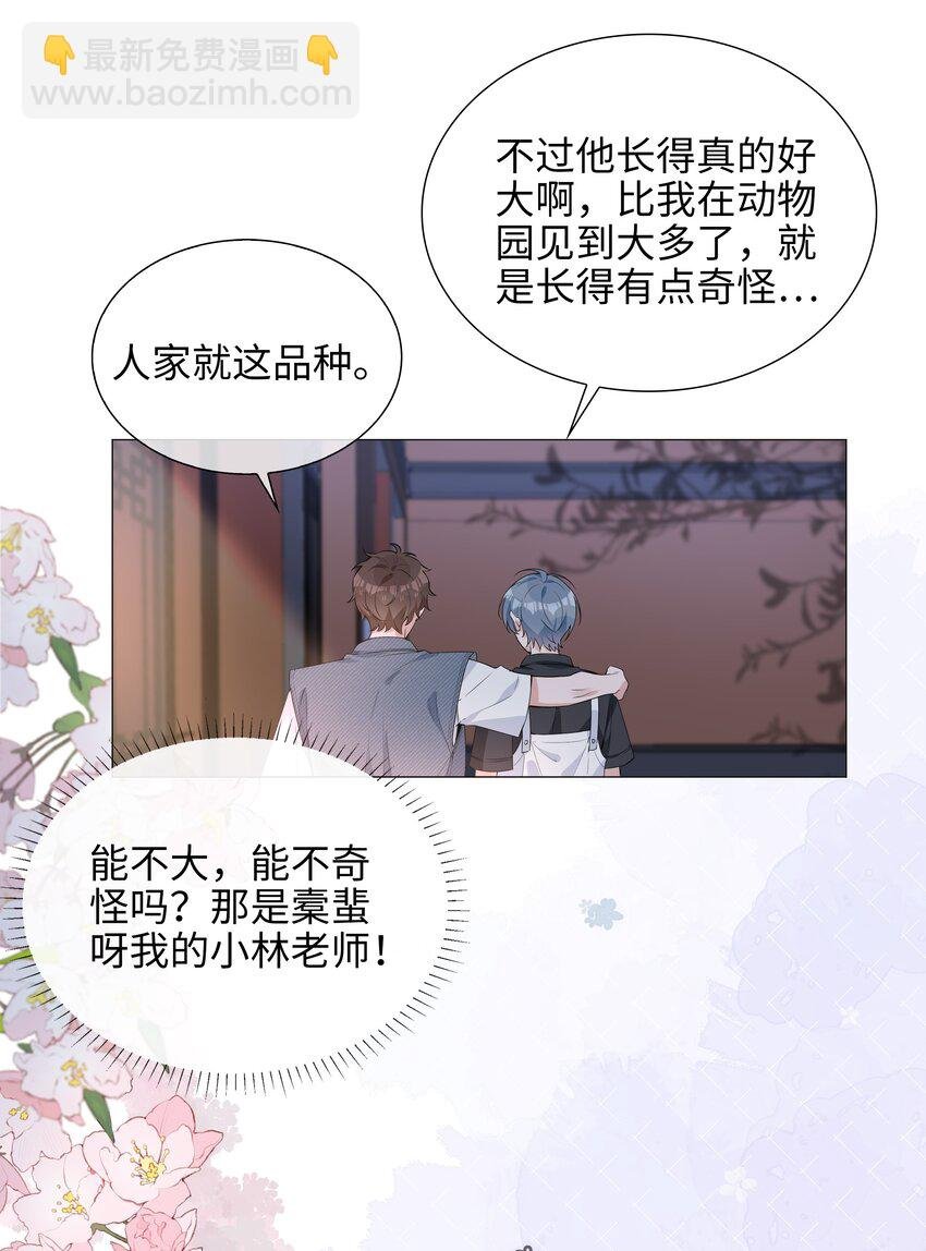 024 爱情的秘密