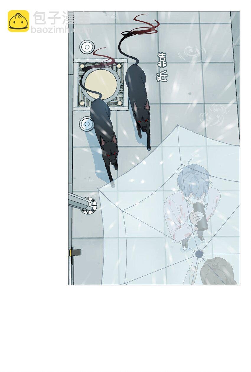 025 深夜投喂