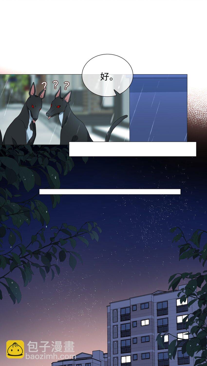 025 深夜投喂