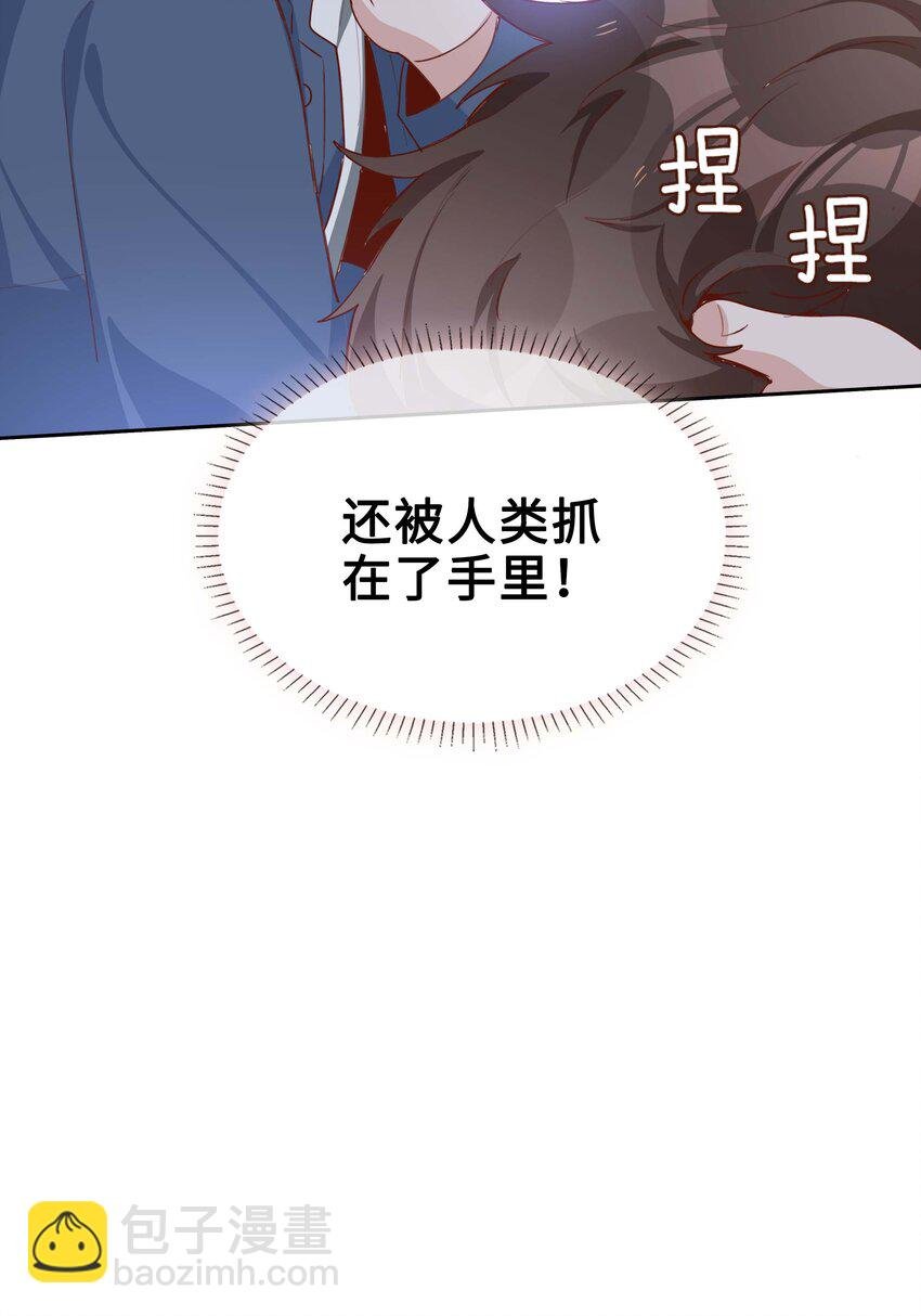 058 变出尾巴了！