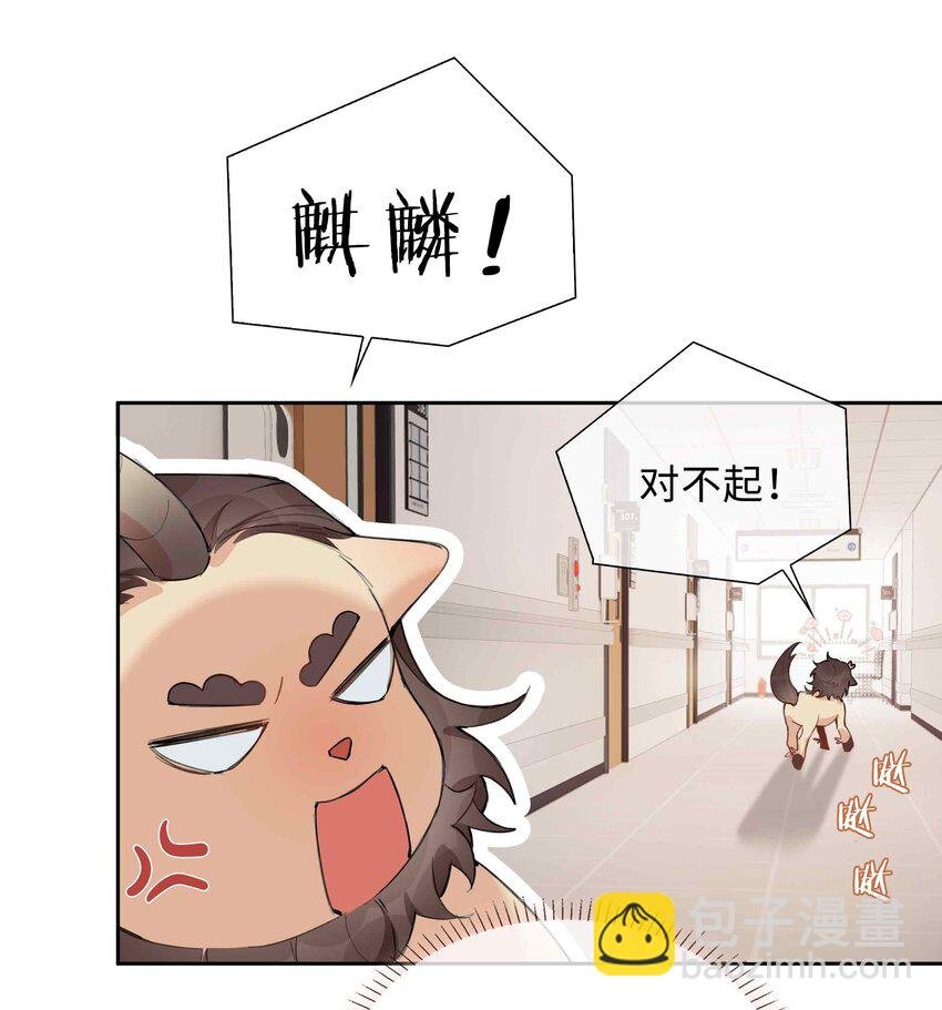 第94话 你是超猛的龙血树！