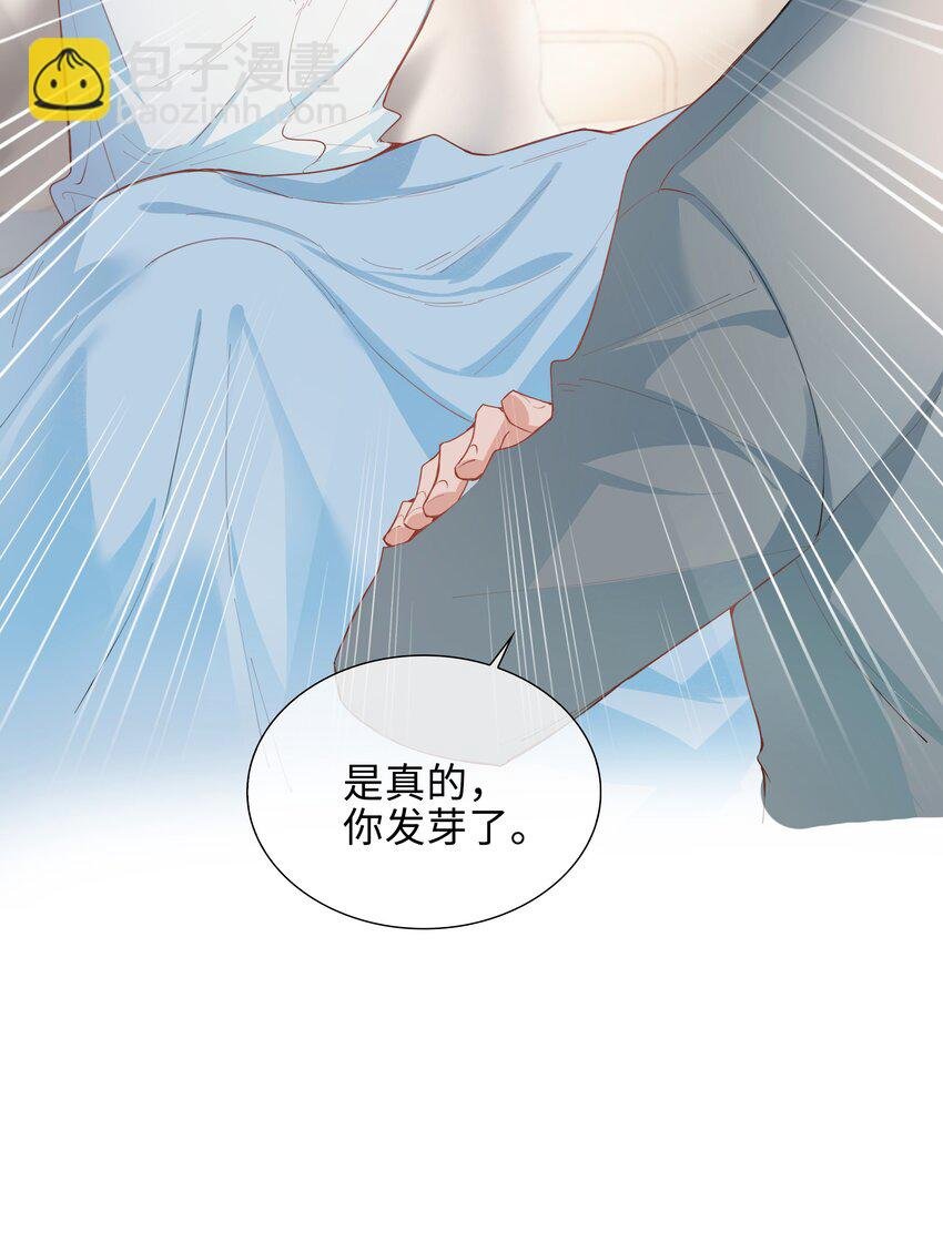 第94话 你是超猛的龙血树！